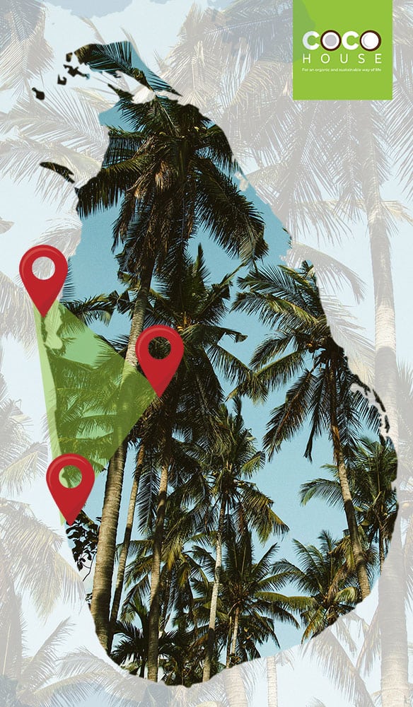 Sri Lankan Coconut Triangle Picture Location