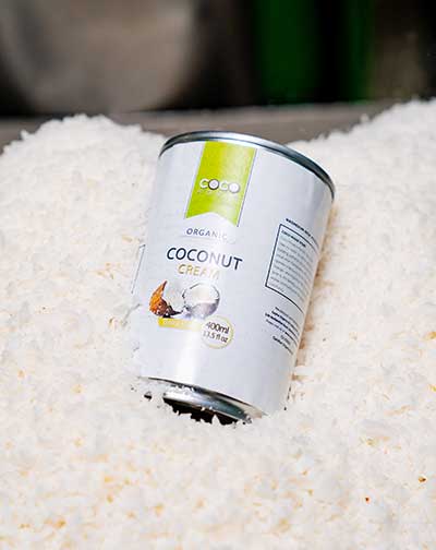 Coco House Coconut Cream surrounded in wet desiccated coconut