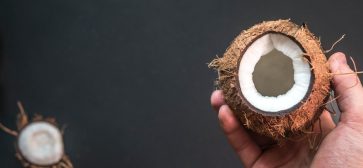 holding an open coconut