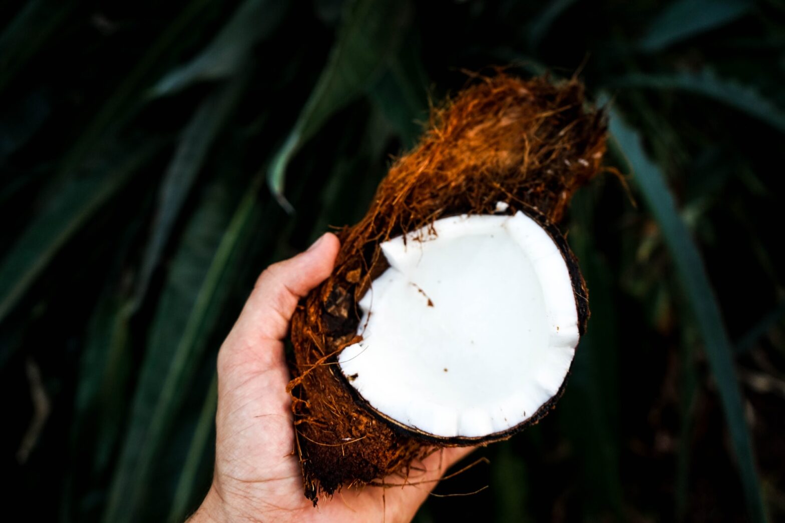 health benefits of virgin coconut oil