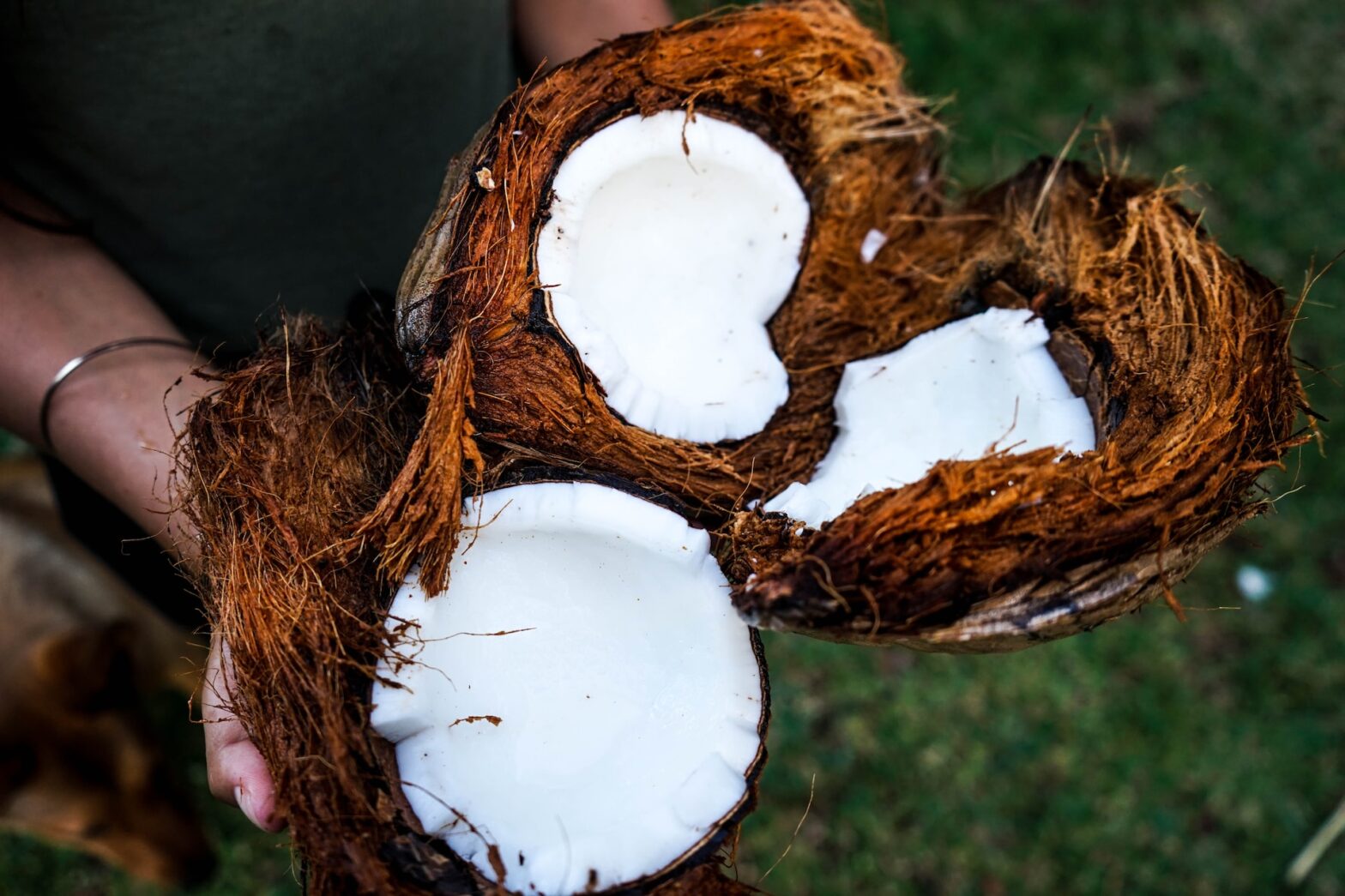 Uncovering the Health Benefits of Coconut Products and Trending Recipes