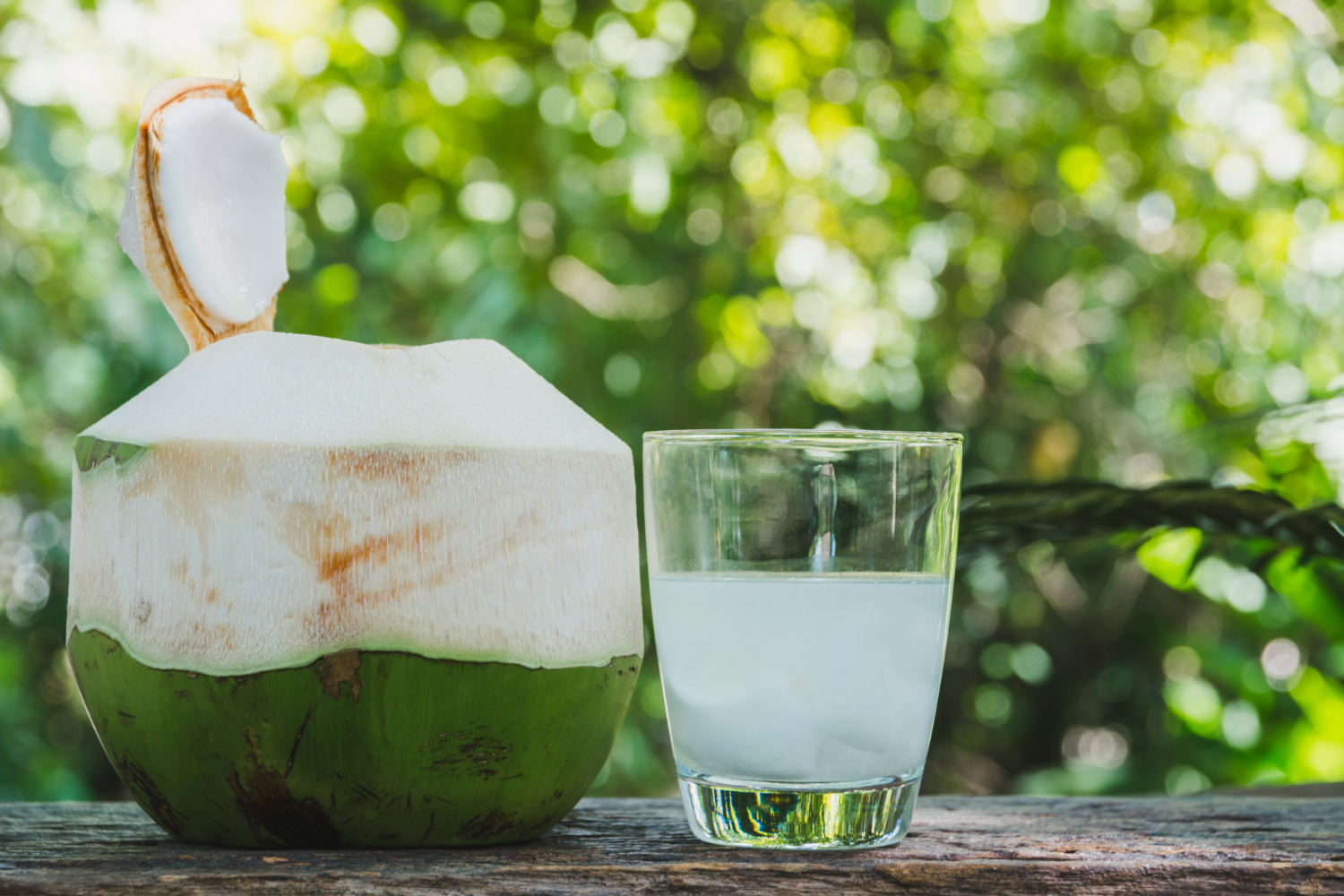 Coconut Water