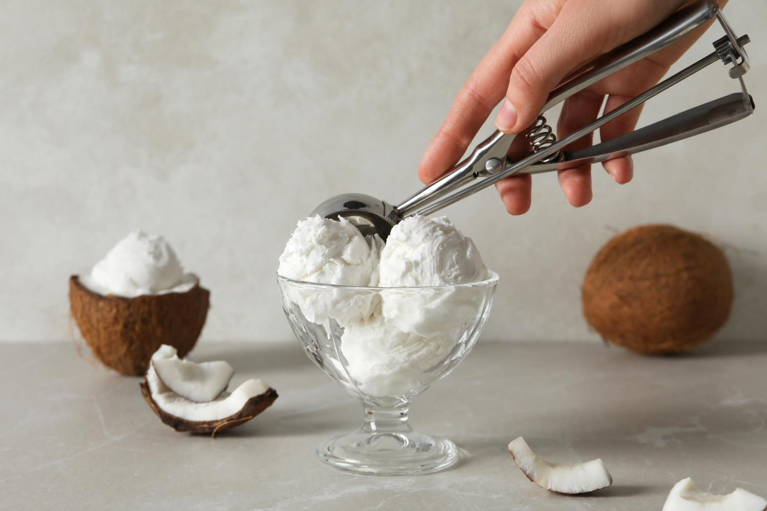 Coconut Milk Ice Cream