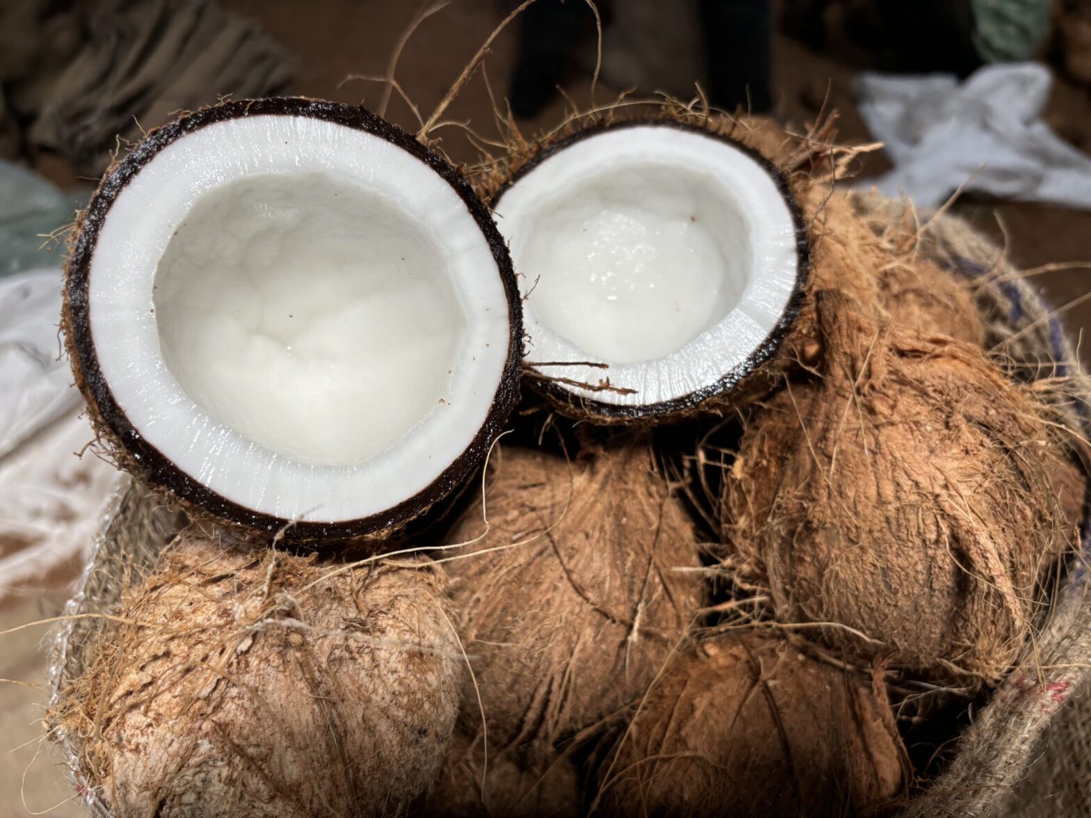 2024 coconut market report