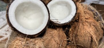 2024 coconut market report