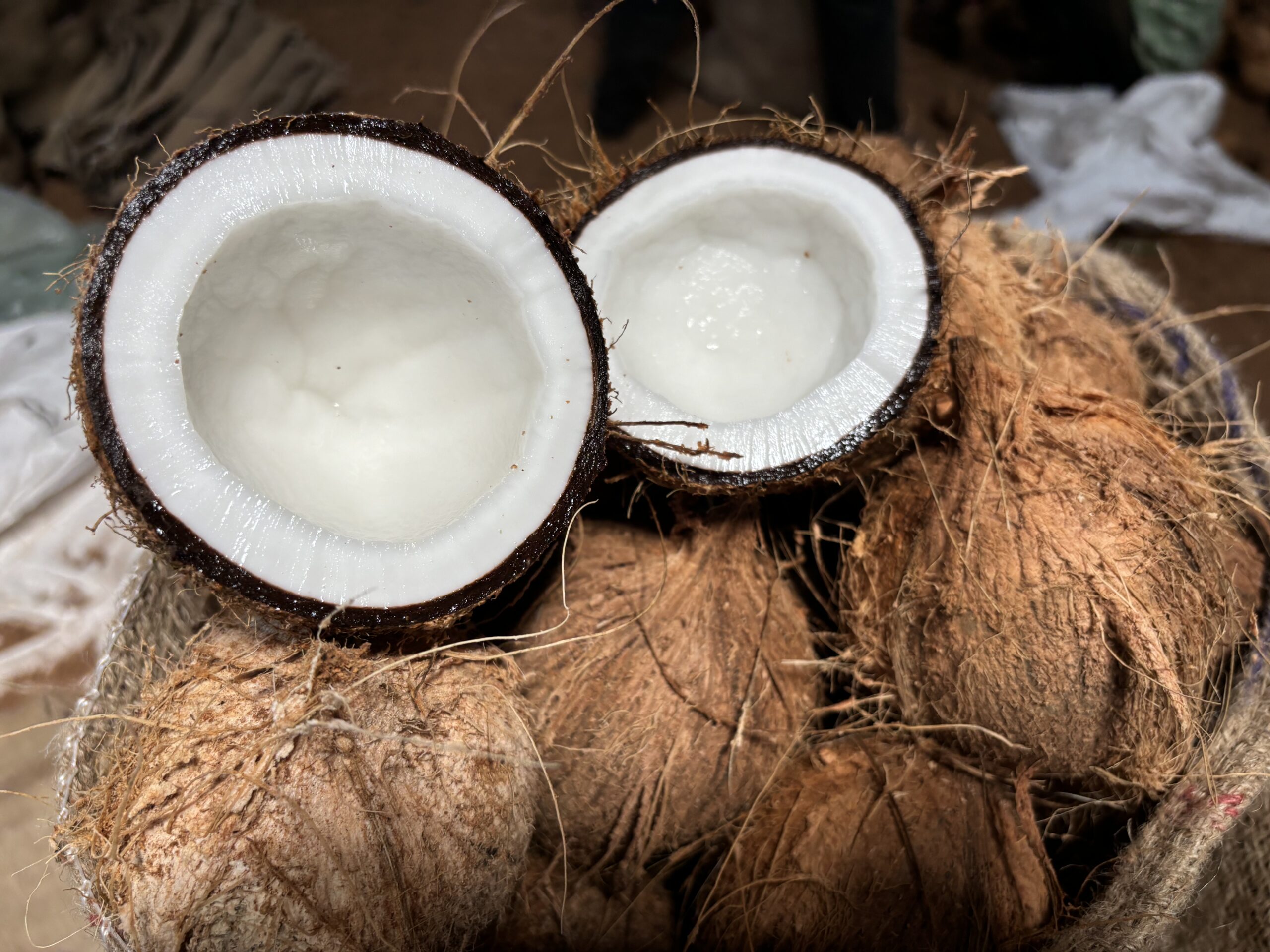2024 coconut market report
